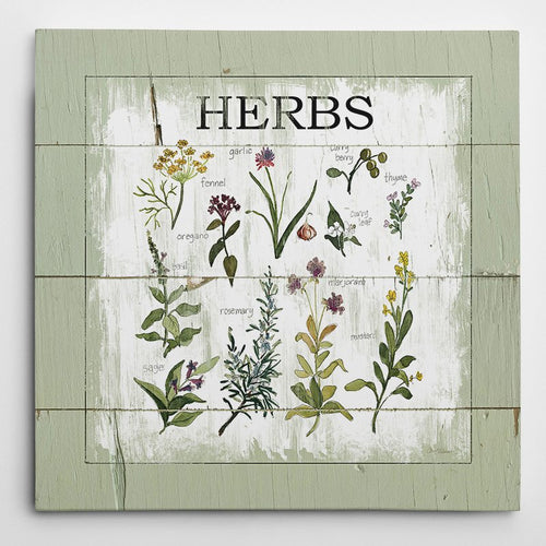 'Shiplap Herbs' by Carol Robinson Graphic Art on Wrapped Canvas